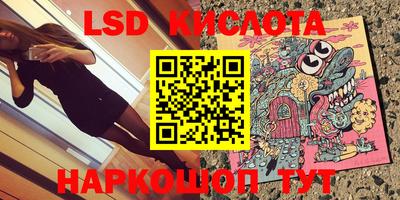 мдпв Камышлов