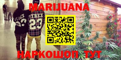мдпв Камышлов